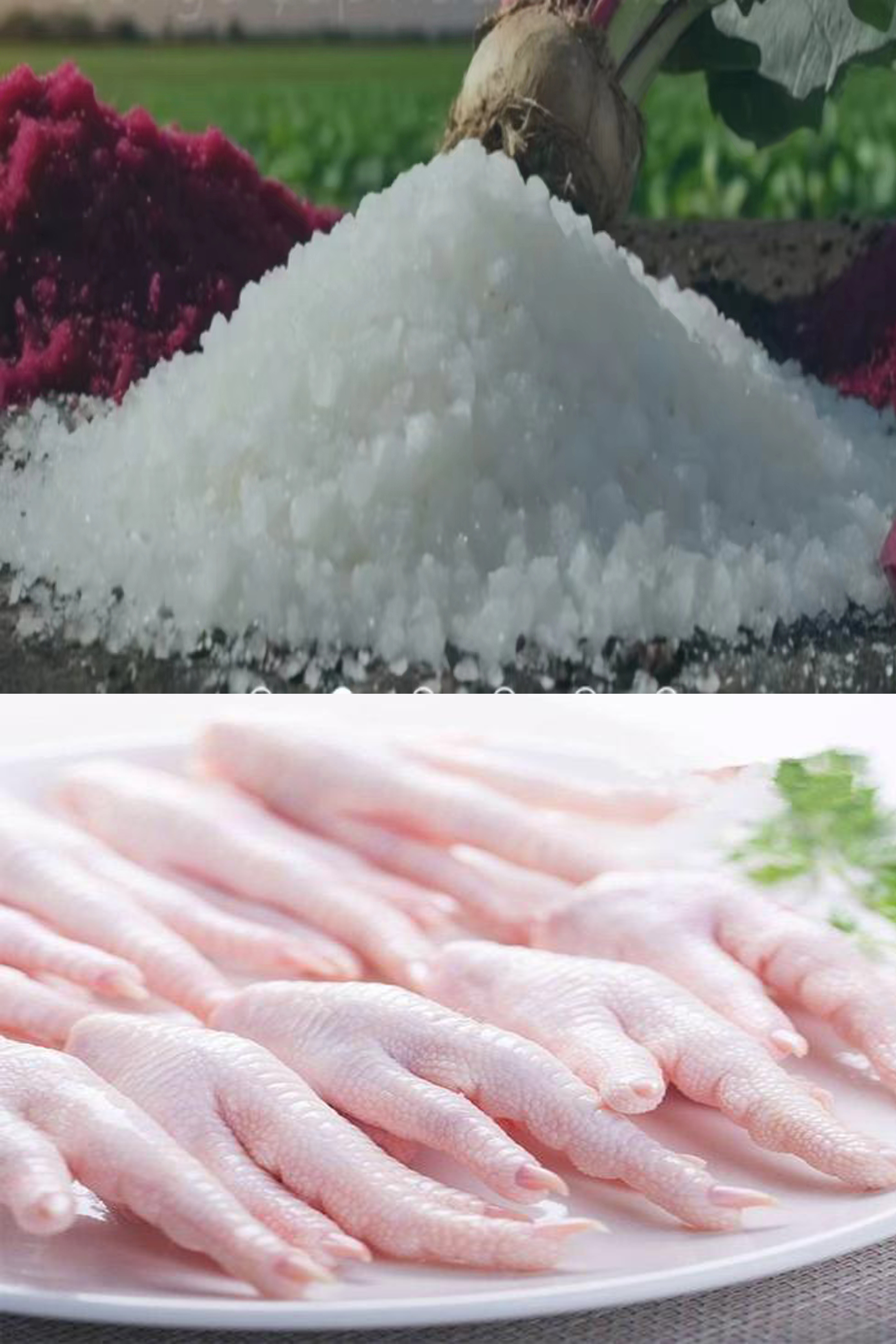 农贸产品-鸡爪